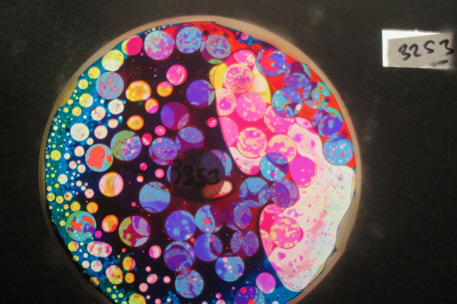 BV3253 bubble vision oil wheel